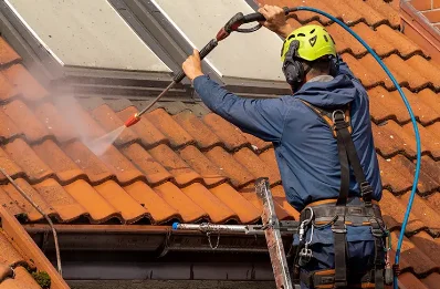 Démoussage et hydrofuge de toiture à Aragnouet